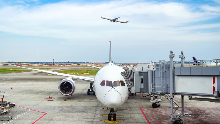 Australia’s New Migration Strategy: 8 Key Actions for Future Reform